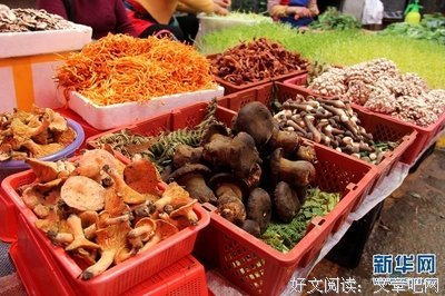 汪曾祺优美的句子
