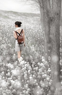 有关韶华与共的句子