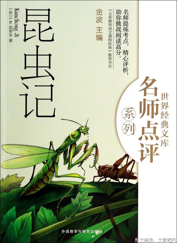地对木研句子