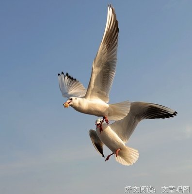 倾家荡产的句子