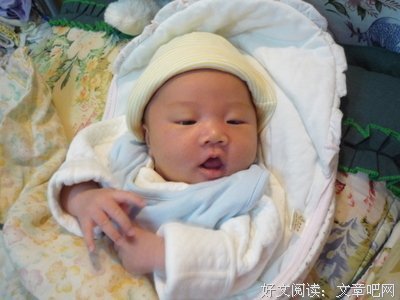 关于张曼的语句