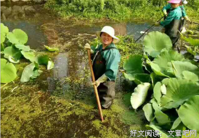 关于雷贯的名言