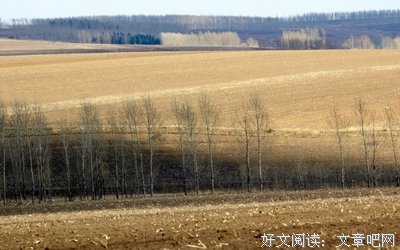 有关阿城名言大全