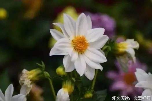 知人不言尽，言尽则无友；责人不苛尽，苛尽则众远