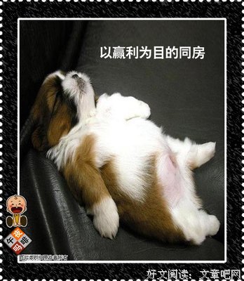 《好男好女》观后感10篇