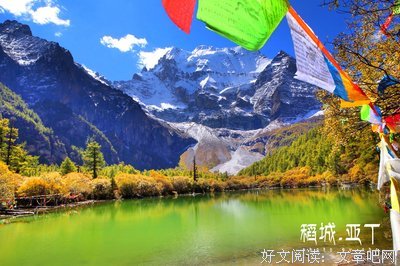 一见钟情的概率读后感10篇