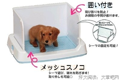 洗手间里，藏着你的教养