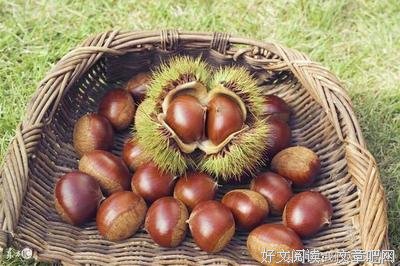 霜降：一年最后的秋天