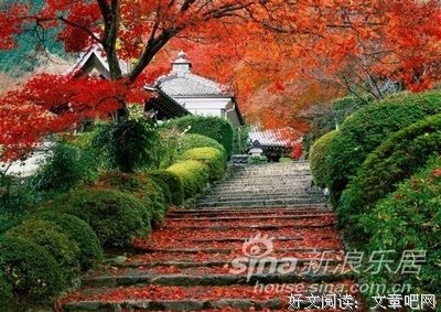 今日霜降，你必须知道的养生知识！