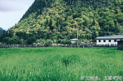厚道才是真精明
