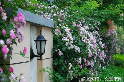 扬帆远航，勇往直前~的优美句子