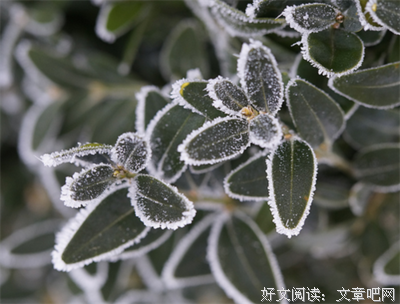 诗歌谚语集