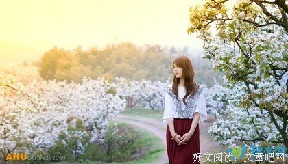关于纳兰述名言名句