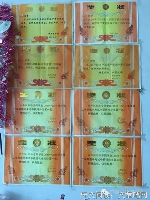 父亲牌腌酸菜
