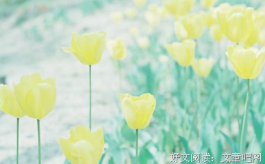 听说和这个星座谈恋爱的人，结局都很刺激。