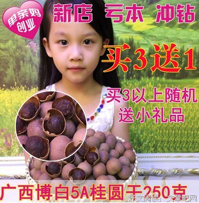《尽余生》佳句摘抄