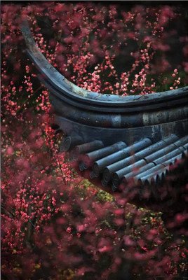 最新的《幽梦影》经典语句
