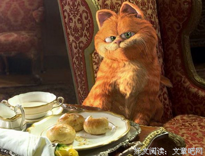 最经典的《我是猫》经典语句