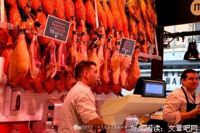 最经典的《月沉吟》小说句子