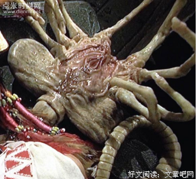 关于斯科特的唯美语录