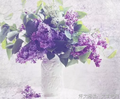 有关死路一条的美句摘抄