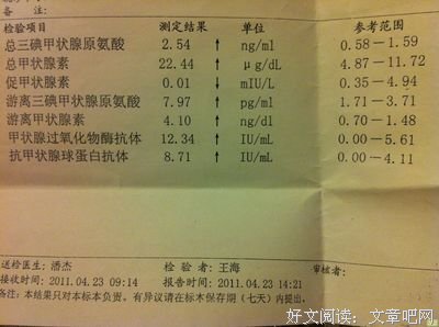 桥本的语句摘抄_关于桥本的语句