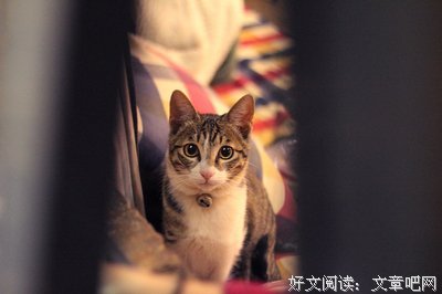 关于我行我素名言名句