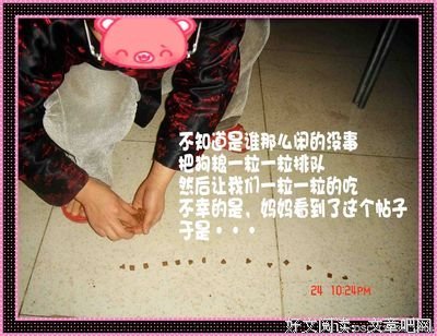 关于单着人去都狗的凝视(V)o￥o(V)的优美句子