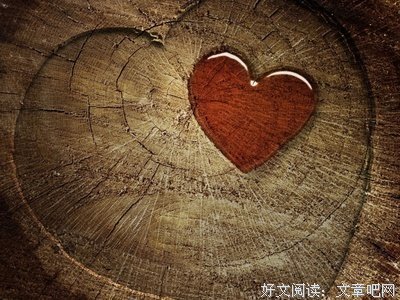 有关迎面是风，回首是你的句子