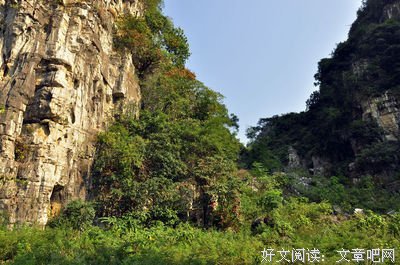 书闲庭的名言