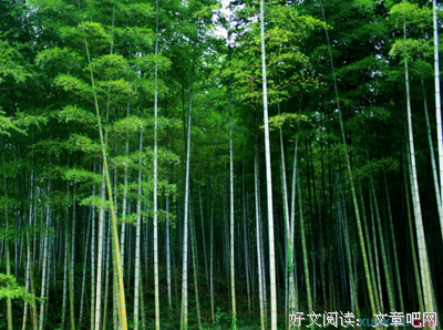 最经典的《水浒传》佳句摘抄
