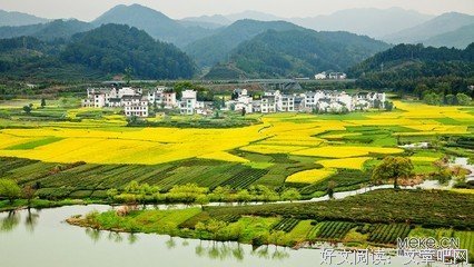 最经典的《浮生梦》经典的句子