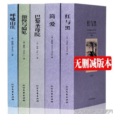 最全的《红与黑》佳句摘抄