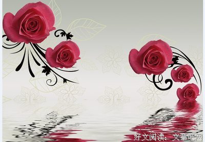 《红玫瑰》佳句摘抄