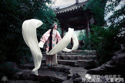 《草草集》经典的句子大全