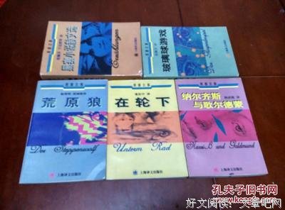 《荒原狼》小说摘抄大全