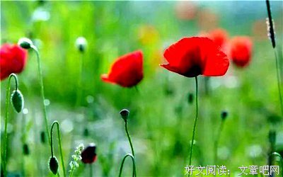 只有今生，哪有来世