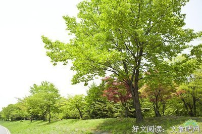 书单来了| 金句满满的5本传世语录，又优美又实用