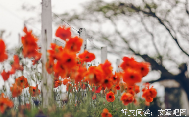 《等你》的句子