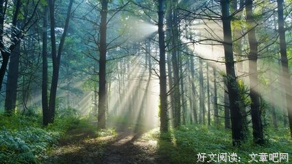 旅途优美的句子