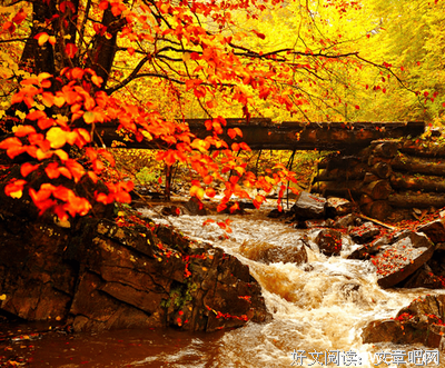 关于——的优美句子