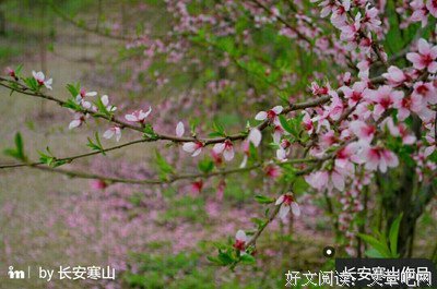 吕洞宾名言警句