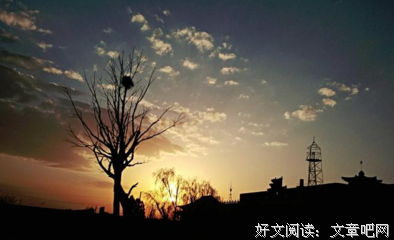 周国平精彩语录