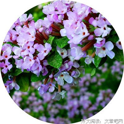 塞涅卡名句欣赏