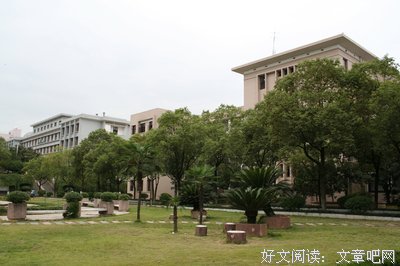 《风动鸣》好段摘抄大全