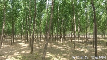 “睁眼是你,闭眼亦是你.”