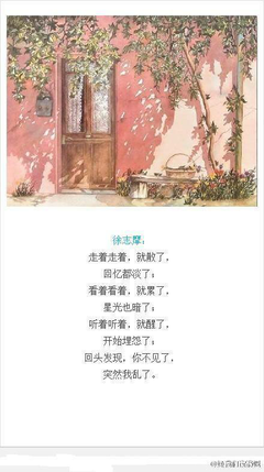 最全的《三行情书》经典语录