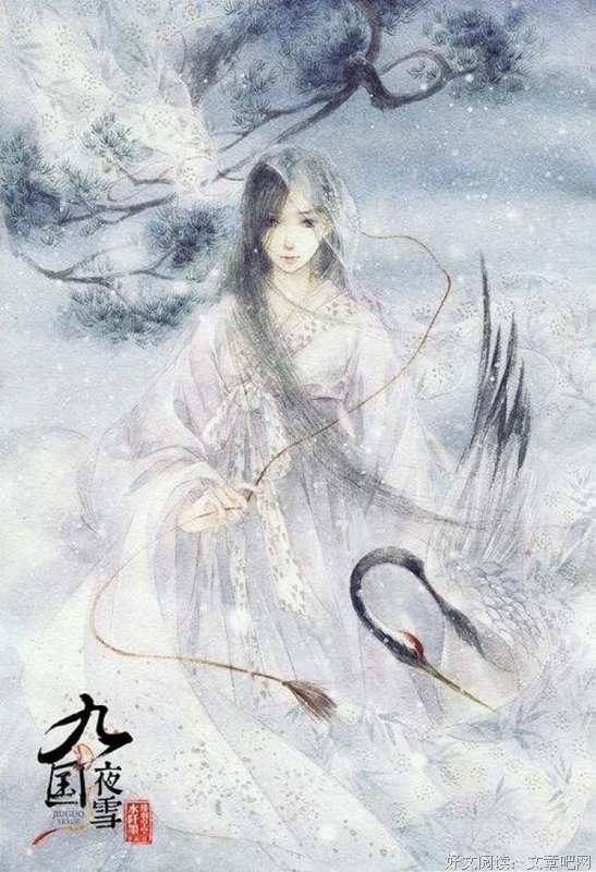 最全的《九国夜雪》小说句子