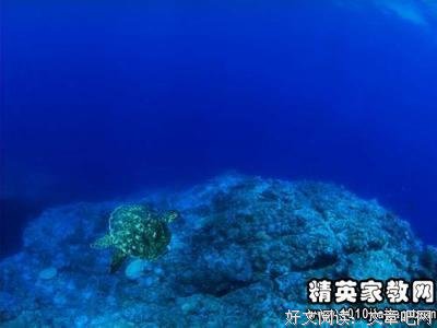描写亚特兰蒂斯的语句摘抄