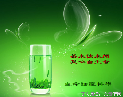 15条关于用心的经典语句